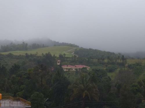Bed & Breakfast Coorg Misty Greens