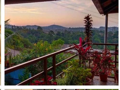 Coorg Hill View Stay