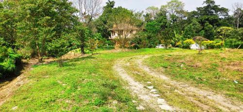 Blue Chill Estate Stay