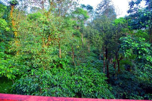Hotel New Maxima Coorg By National Holidays