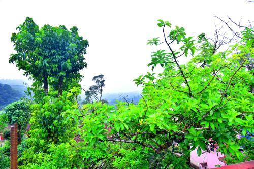 Hotel New Maxima Coorg By National Holidays