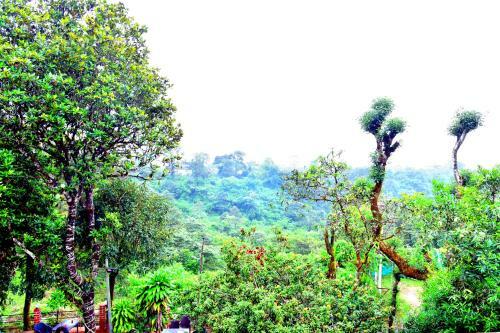 Hotel New Maxima Coorg By National Holidays