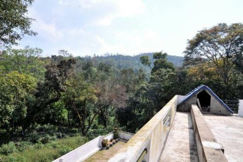 Bliss Villa