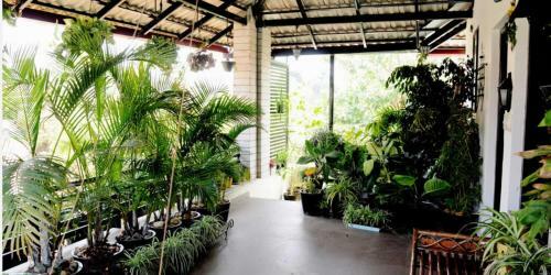 Tripthrill West Wind Homestay