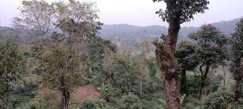 Apartamento Cheerful Stay-coorg