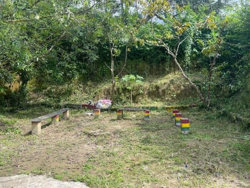 Apartamento Coorg Get In Homestay