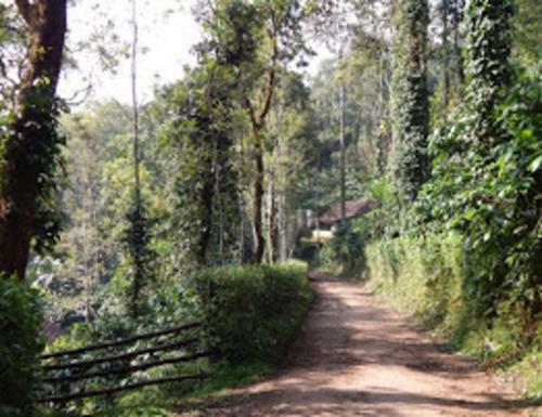 Tripthrill Coorg Misty Home