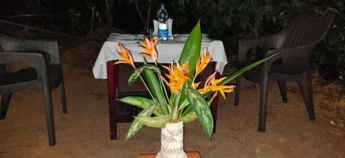 Coorg Blacks Barbeque Home Stay