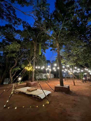 Hotel Alexander Heritage And Rainforest Resort