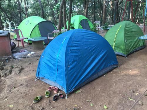 Hotel Born4tours Tent Stay