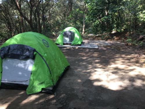 Hotel Born4tours Tent Stay