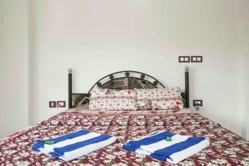 Tripthrill Dona Rosa