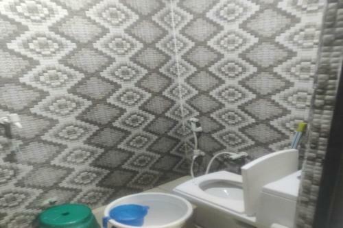 Oyo 81178 Hotel Green Land