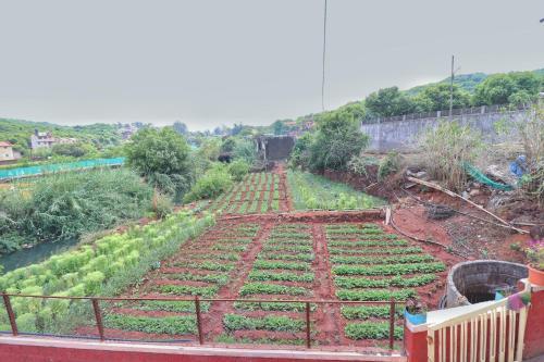 3 Bhk Lingmala Villa W Common Pool