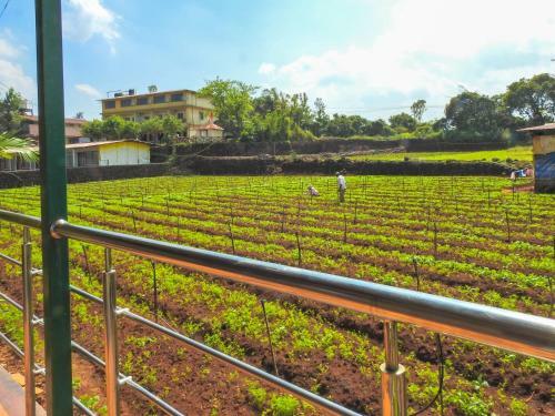 Evergreen Holiday Resort Mahabaleshwar