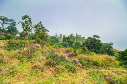 Hotel Mountain Breeze, Mahabaleshwar