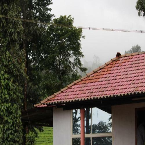 Tripthrill Hasiru Homestay
