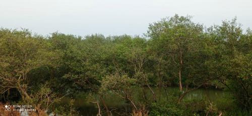 Shruthi's Aarohi-nature's Retreat