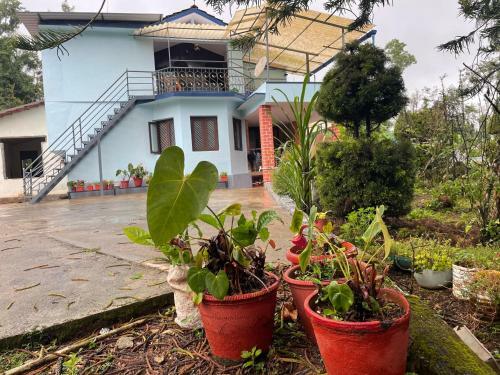 New Organic Home Stay
