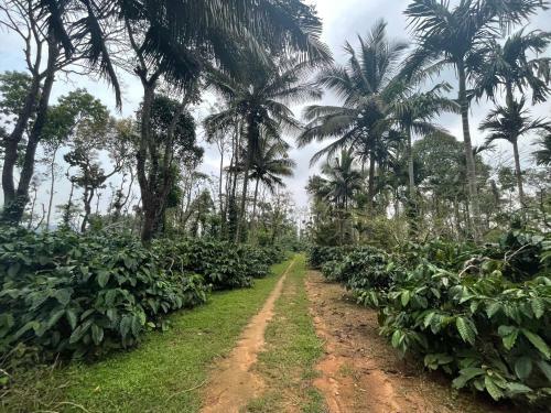 New Organic Home Stay