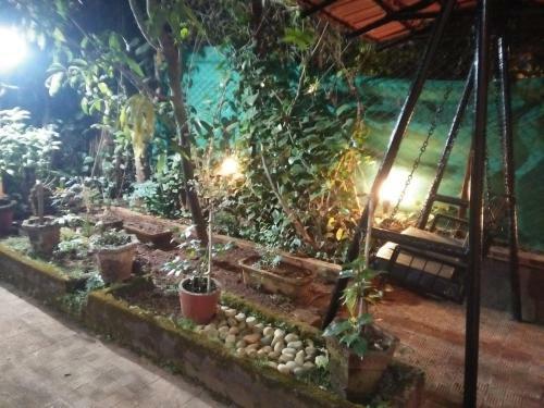 Joys Cottage Lonawala