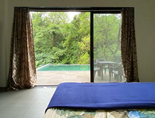 Leisurely Blue Lotus, Lonavala