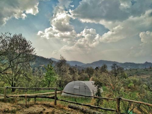 Lodge Darima Birdhouse Farm