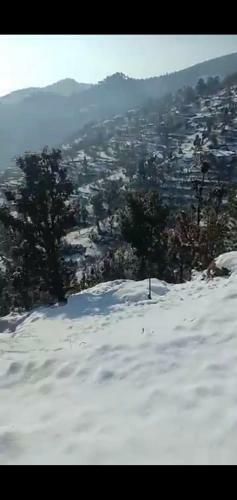 S K And Shiv Cottages