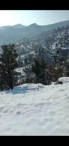 S K And Shiv Cottages