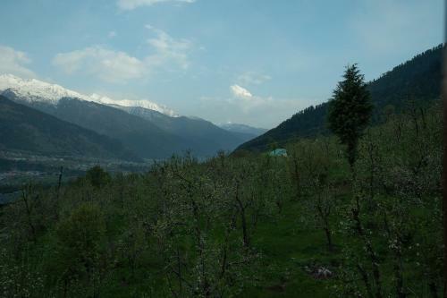 Hotel Saraswati Palace Manali