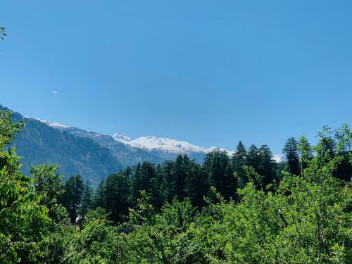 Albergue White Forest By Sturmfrei