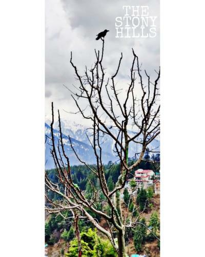Agroturismo The Stony Hills - Exclusive Mountain Homes