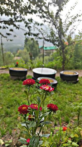 Agroturismo The Stony Hills - Exclusive Mountain Homes