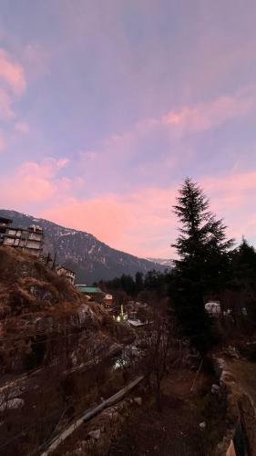 Albergue A Peace Grove