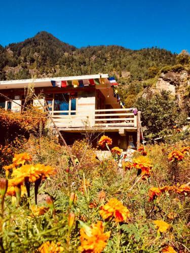 Albergue A Peace Grove