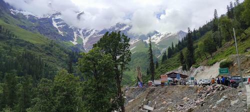 Coniferview Hotel Manali Castle