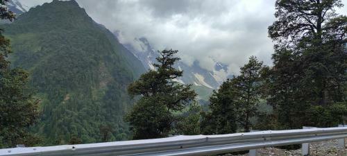 Coniferview Hotel Manali Castle