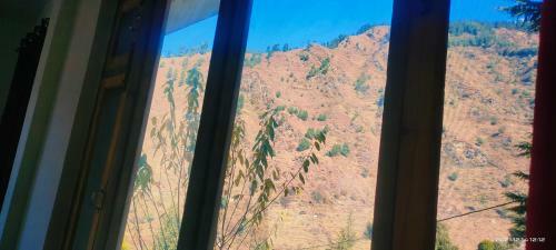 Up And Peace Naggar