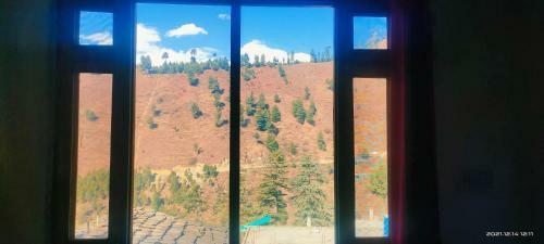 Up And Peace Naggar