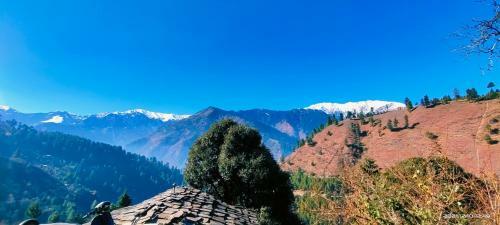Up And Peace Naggar