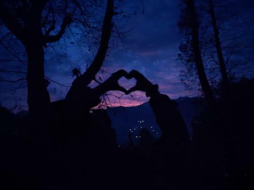 Bed & Breakfast Soilscape Inn, Manali