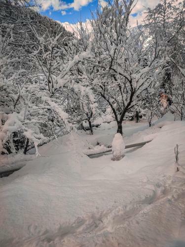 Bed & Breakfast Soilscape Inn, Manali