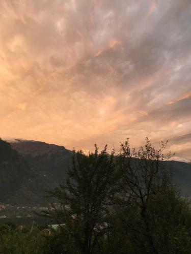 Manali Homework