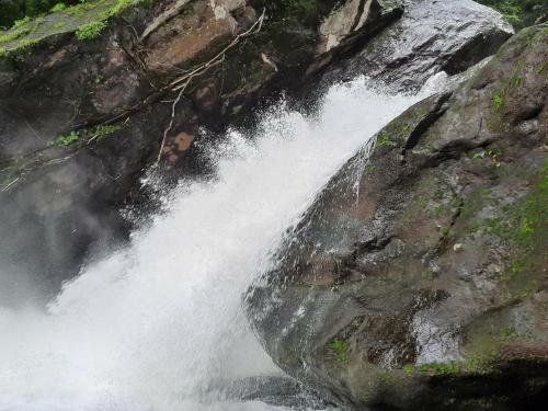 Rosegardens Eco Friendly Homestay,munnar