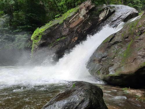Rosegardens Eco Friendly Homestay,munnar