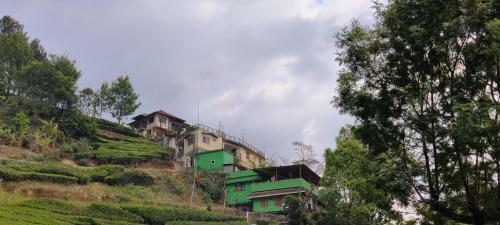 Albergue The Spot Inn
