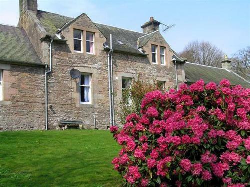 The Maid's House