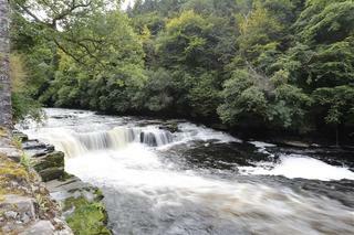 Best Western Cartland Bridge Hotel
