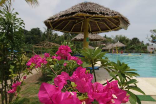 Hotel Sweetwater Resort