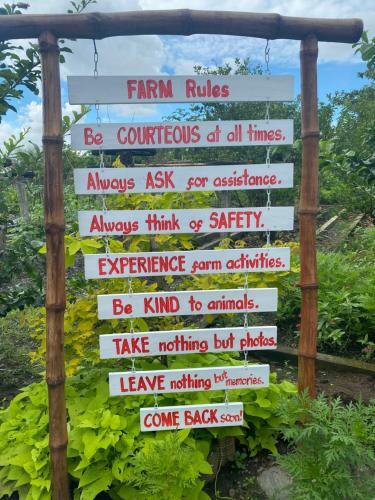 Agroturismo The Family Farm Stay